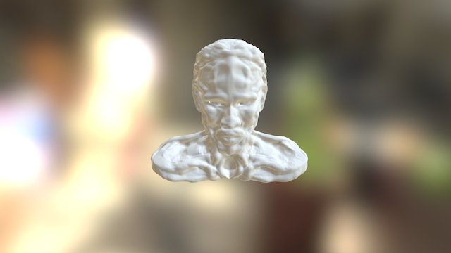 African Male Head 3D Model