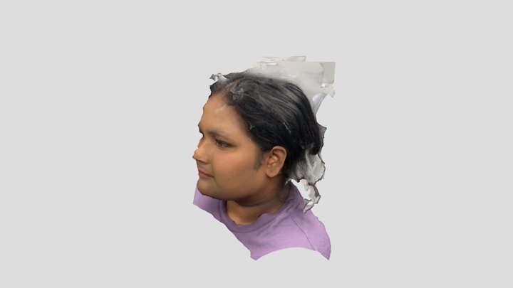 Suji 3D Model