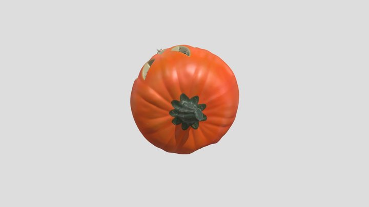 Pumpkin 3D Model