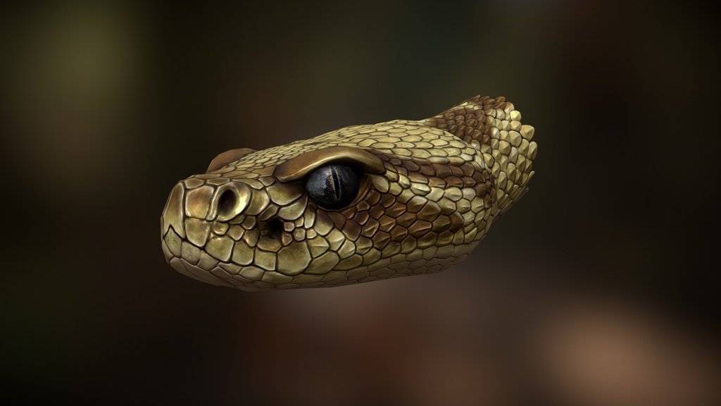 Snake Heads - A 3D model collection by km-robota - Sketchfab