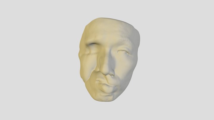 Face_close mouth 3D Model
