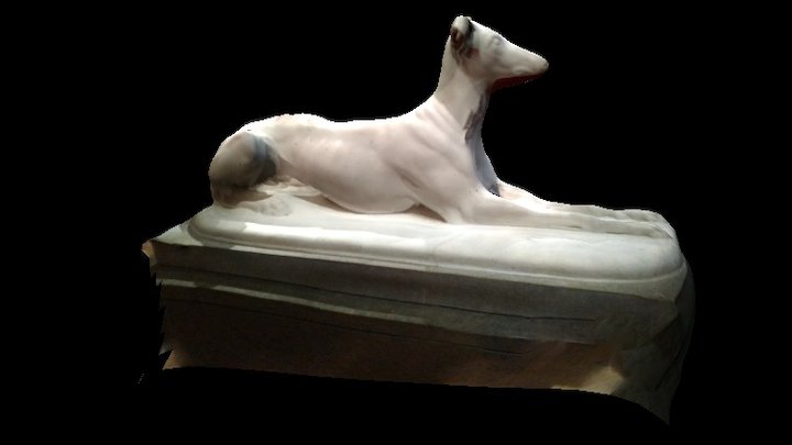 Greyhound ("Arno") 3D Model