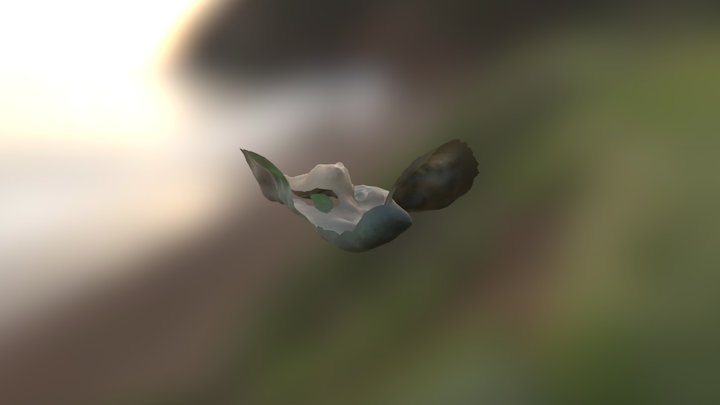 Cliff 1.0 3D Model