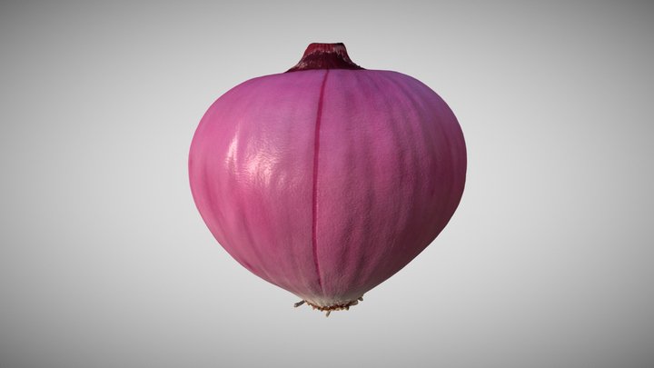 Onion 3D Scan Photogrammetry 3D Model
