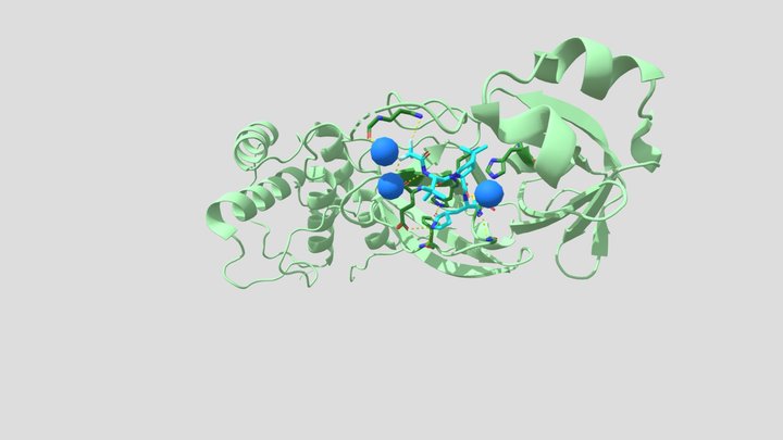 Enzyme Structure 3d