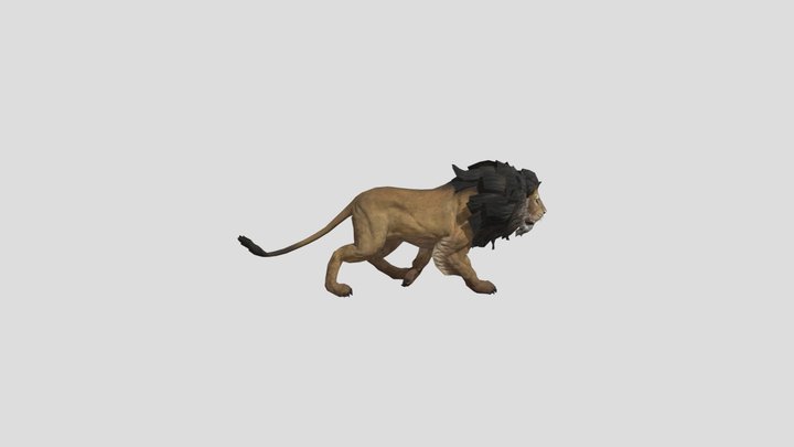 Realistic Animated Walking Lion 3D Model 3D Model