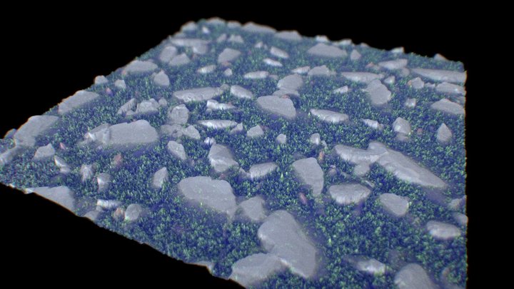 Tassellation Experiment 3D Model