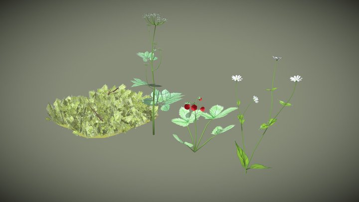 Nordic Plants Asset Pack 3D Model