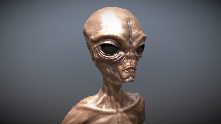 ovni 3D Model