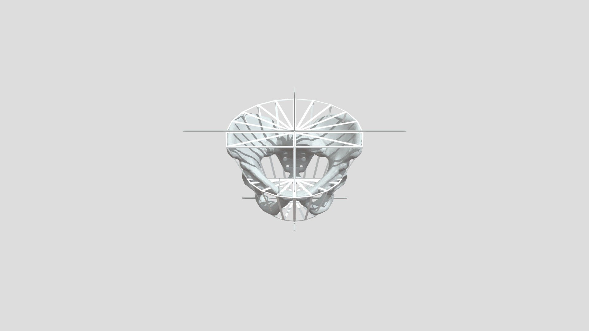 Pelvic hip skeleton bone 3D reference - Download Free 3D model by Inky ...