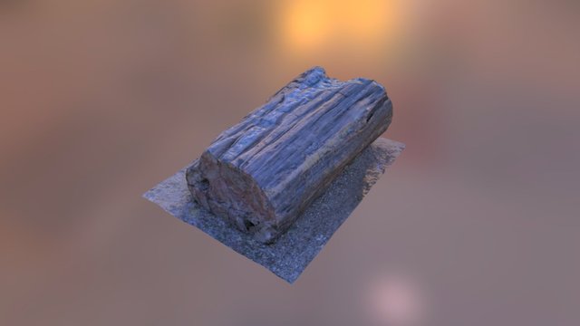 Trunk Lo New 3D Model