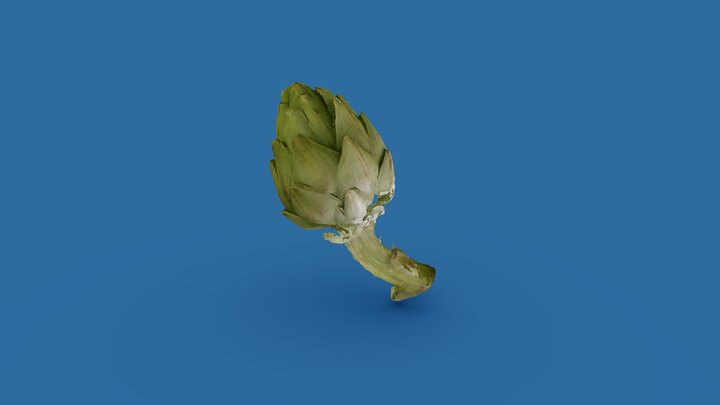 Artichoke