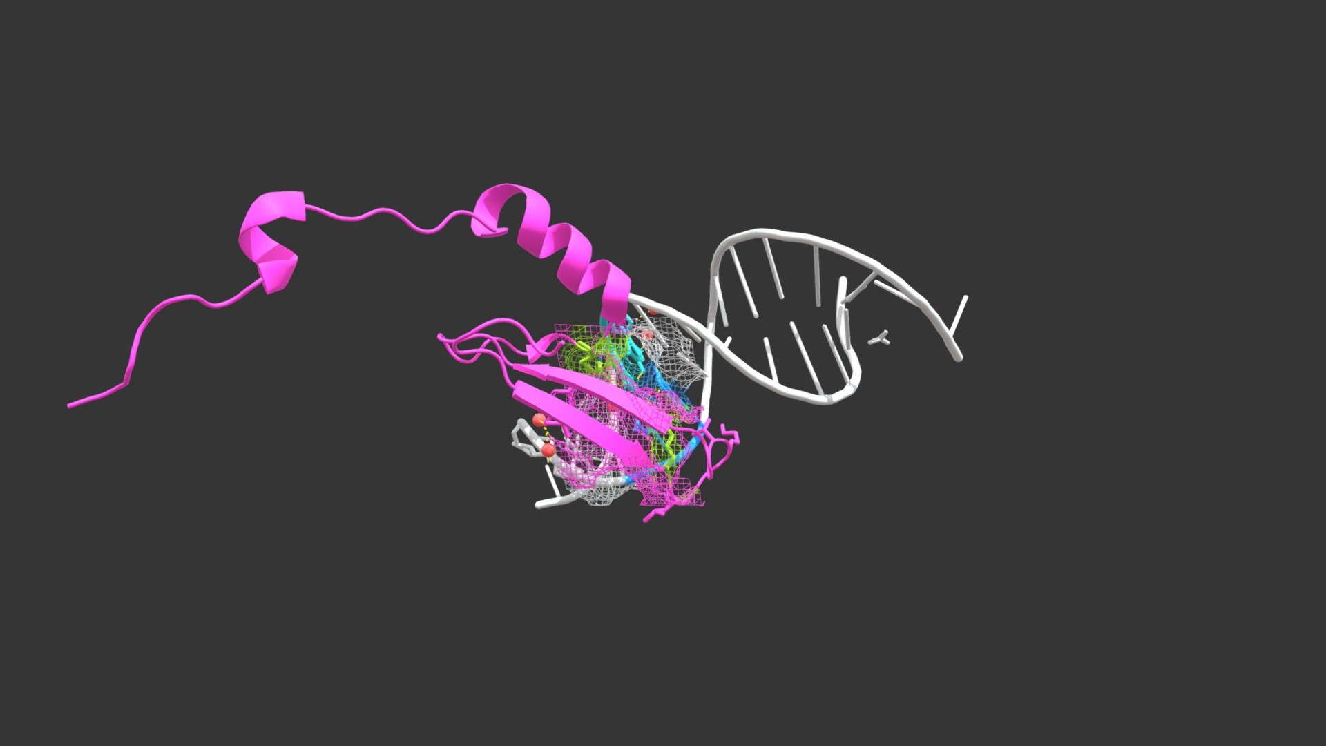 MBD4 Interaction with 5mCpG Dinucleotides