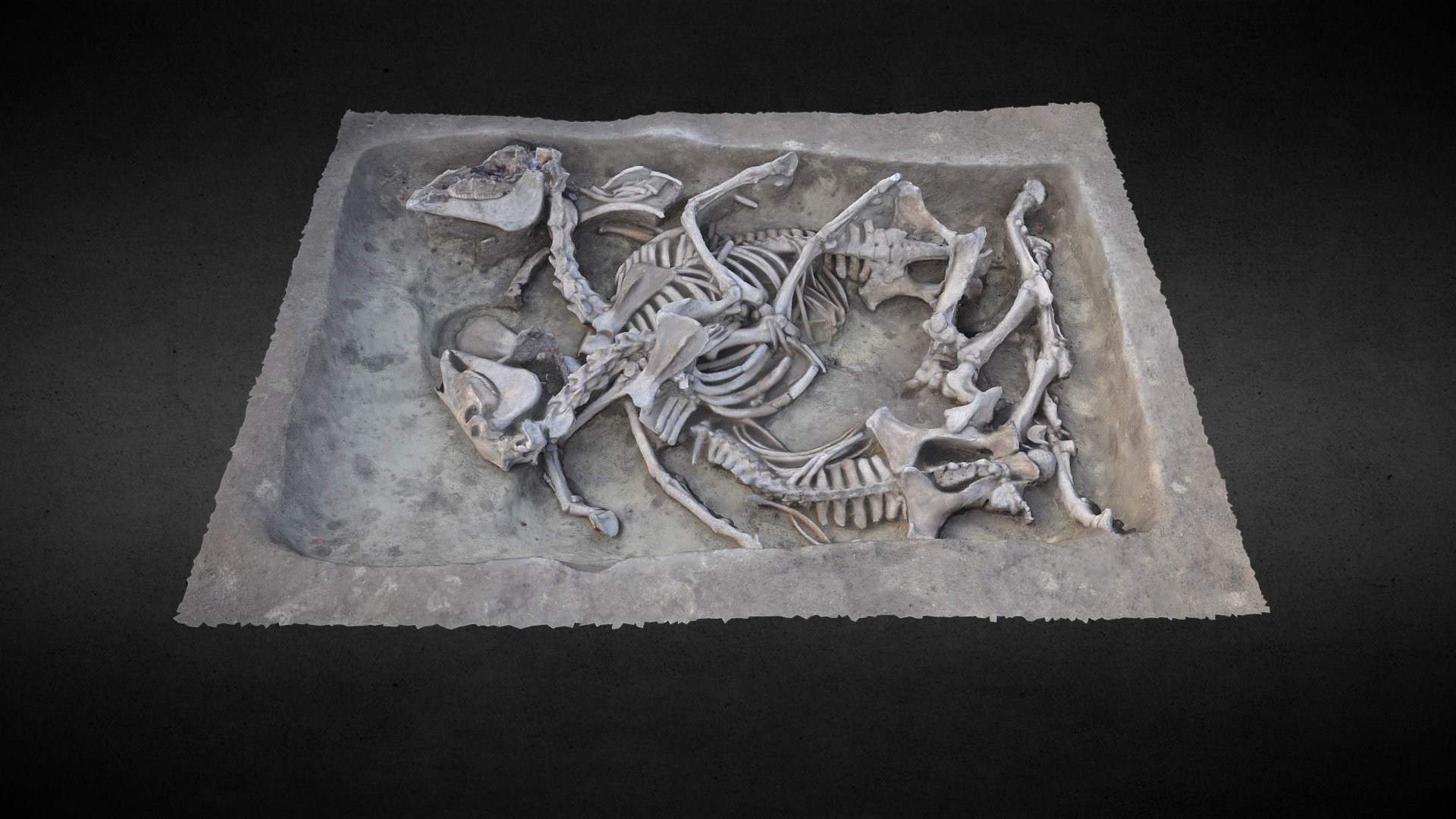Aderklaa Se_4 - Planum_2