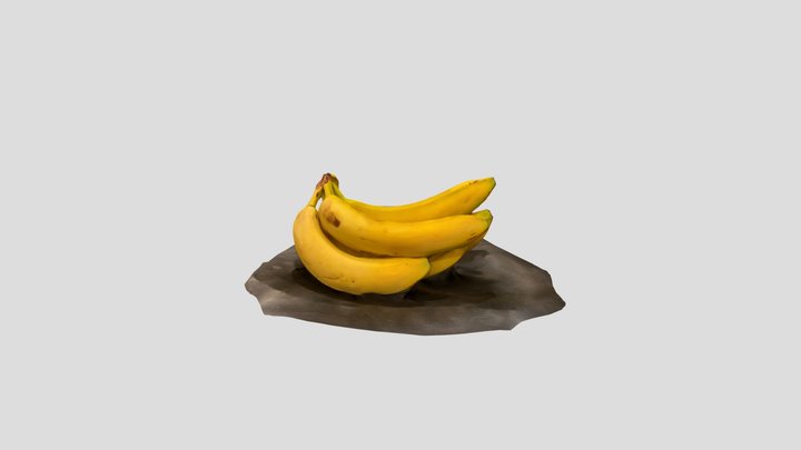 Photogrammetry Assignment 3D Model