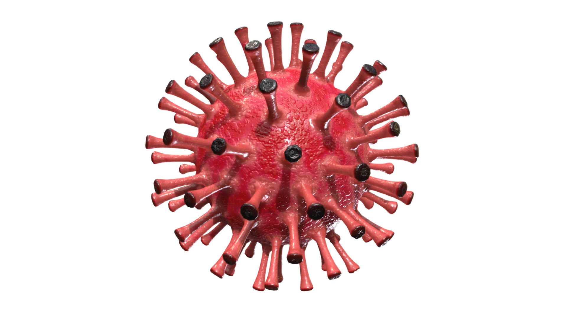 3D model Corona Virus Covid 19 - This is a 3D model of the Corona Virus Covid 19. The 3D model is about a red and black object.