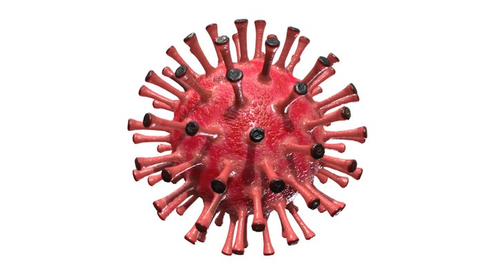 Corona Virus Covid 19 3D Model