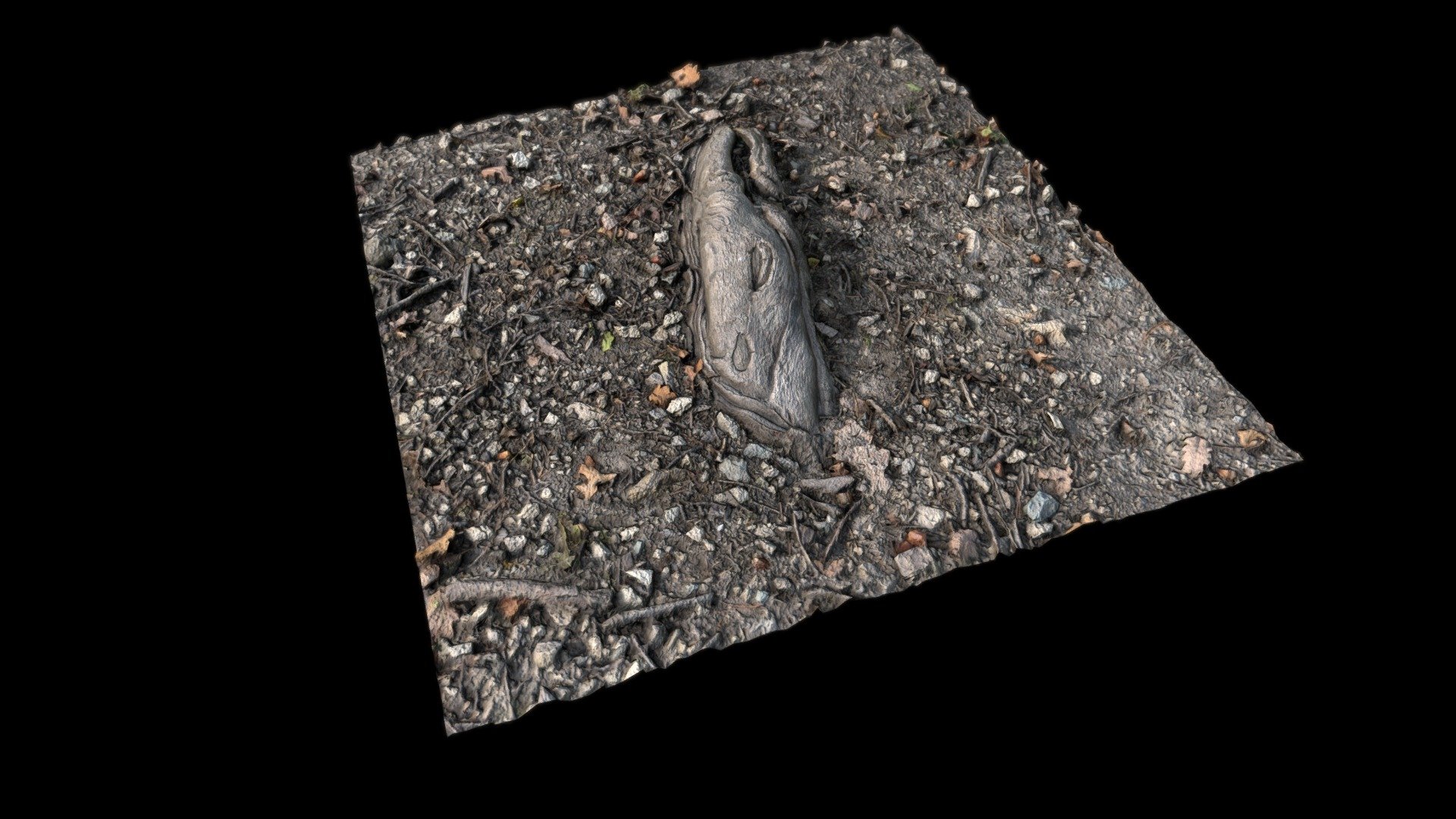 Ground with root square 2k - 3D model by 3dhdscan [cd5e951] - Sketchfab