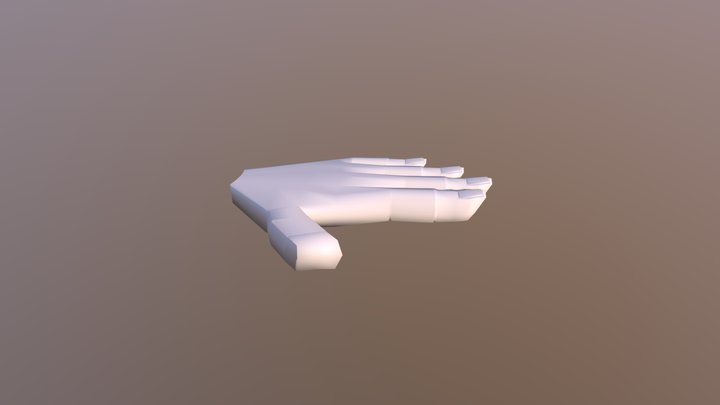 Mi primera mano 3D( sin divisiones) 3D Model