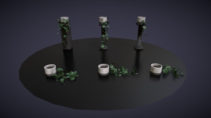 Pot Plants 3D Model
