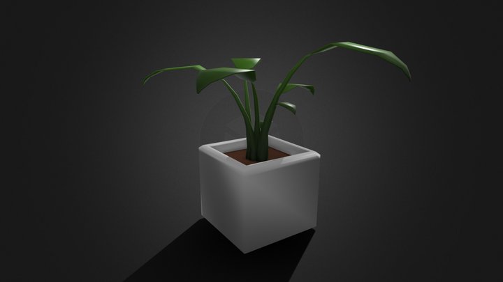 Low poly modern potted plant 3D Model
