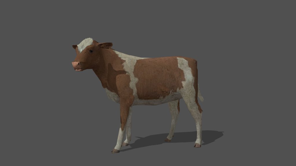 Animated Calf – 3D Animal Model