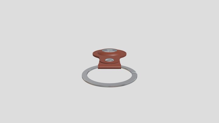 Apple Airtag With Keyring Case