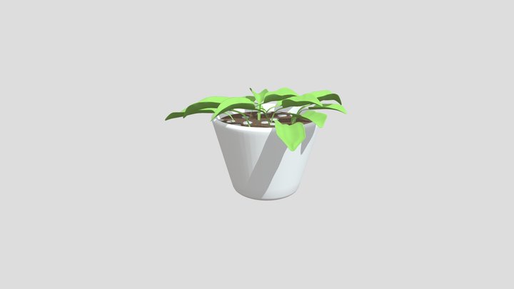Plant Asset 3D Model