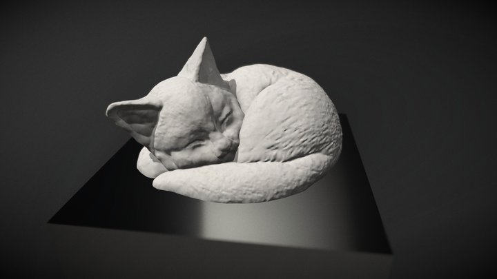 3D Cat 3D Model