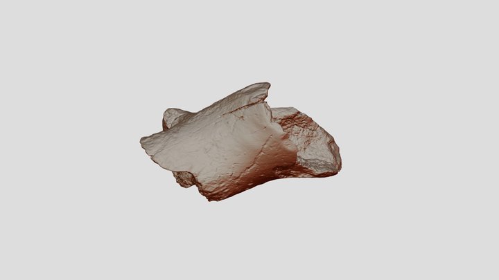 40 22 16 Binary 3D Model