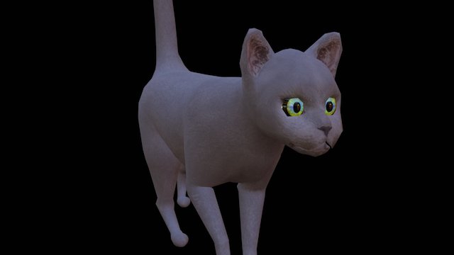Cat walkcycle 3D Model