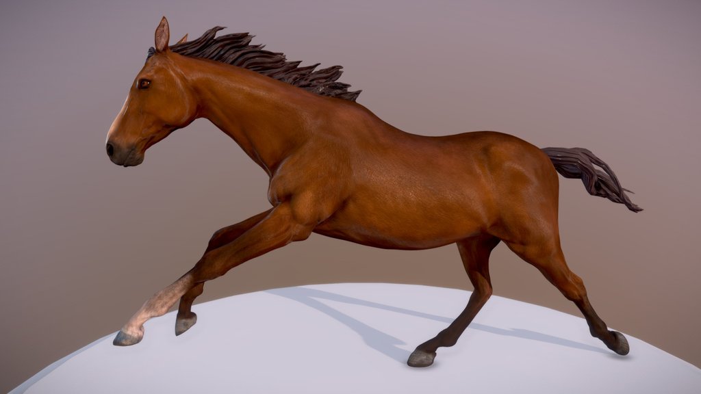 Horse running
