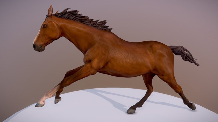 Horse running 3D Model