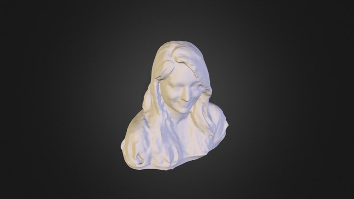 Model Mesh 3D Model