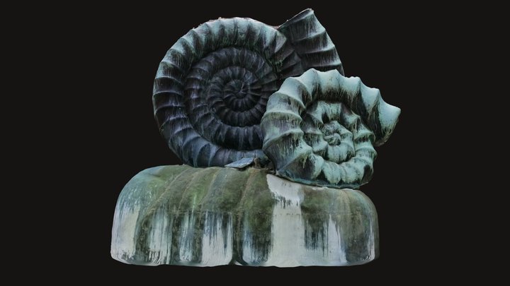 Ammonites (Germany) 3D Model