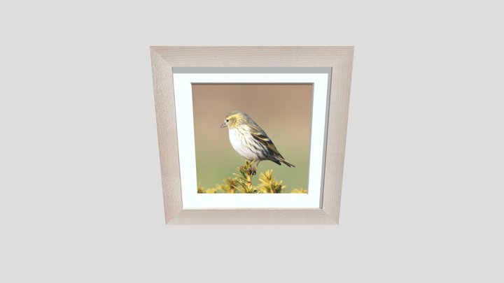 Maple Picture Frame with a Siskin 3D Model