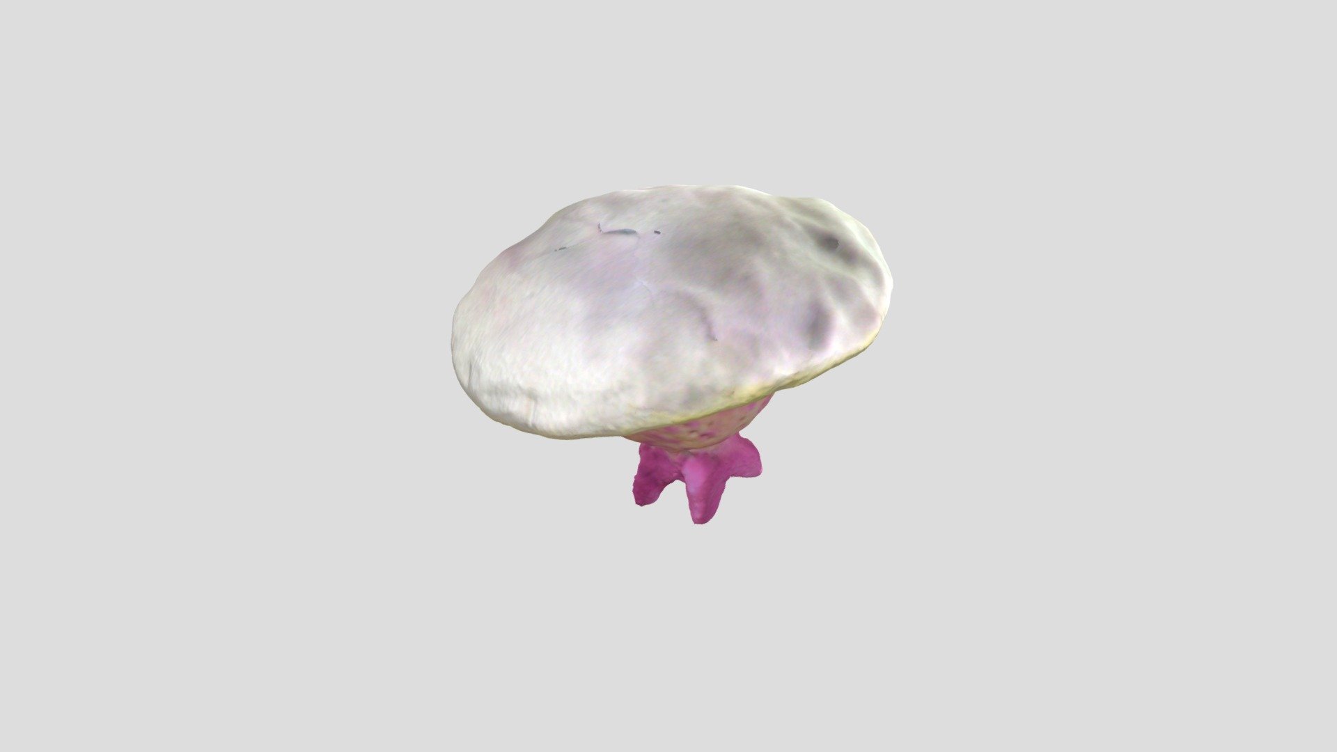 Item 25