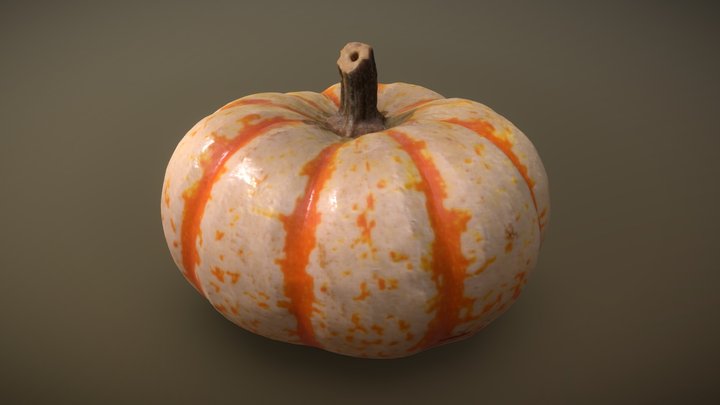 Squash Scan! 3D Model