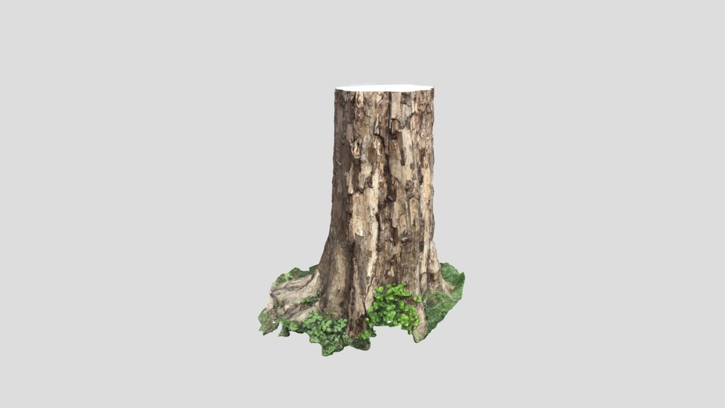 Scan Tree