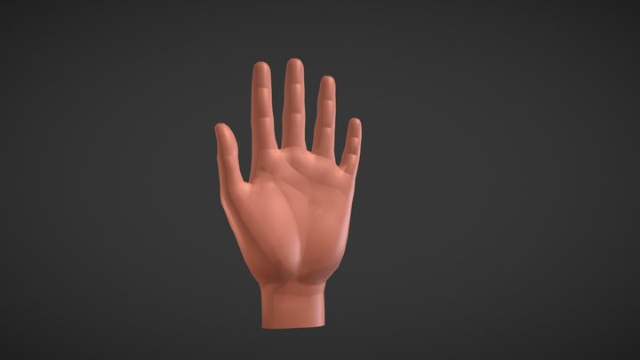 Female Hand 02 BaseMesh 3D Model