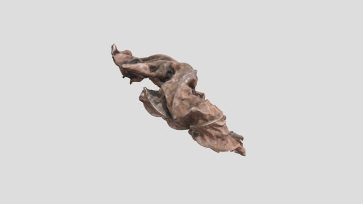 Dry Leaf 3D Model
