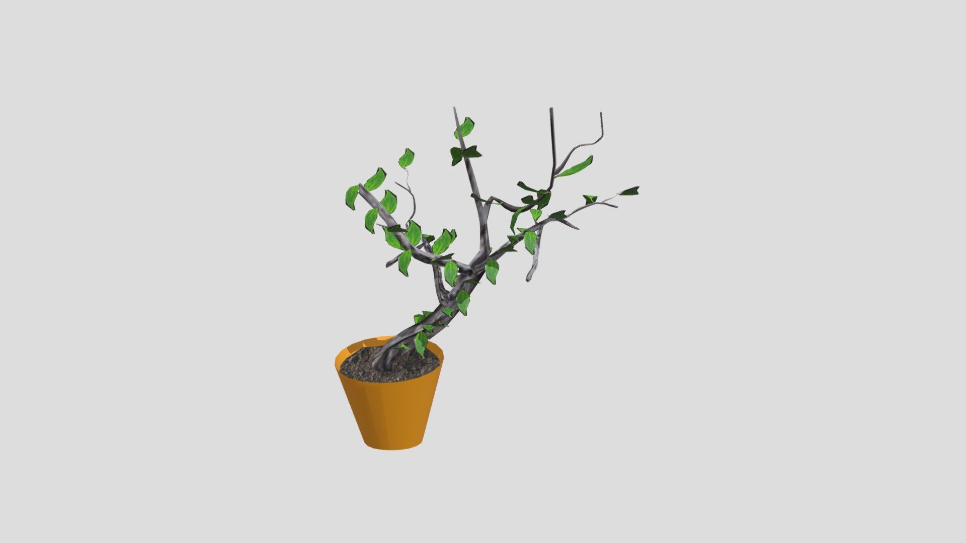 Plant