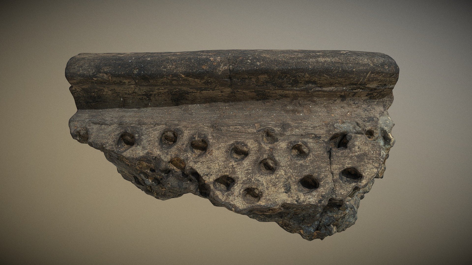 Punctated Rim piece