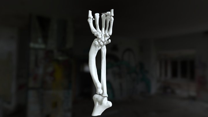 a77a 3D Model
