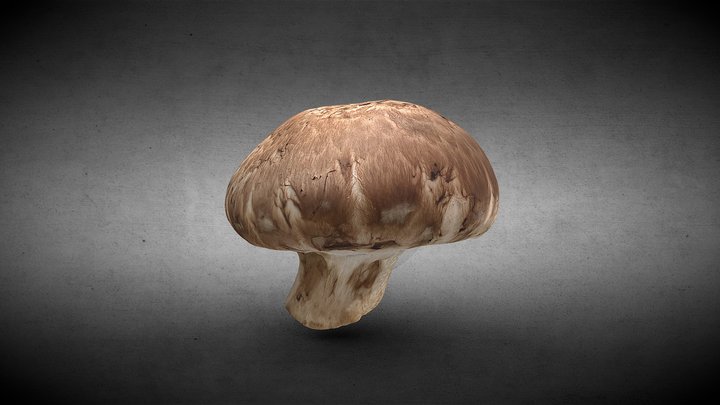 Mushroom