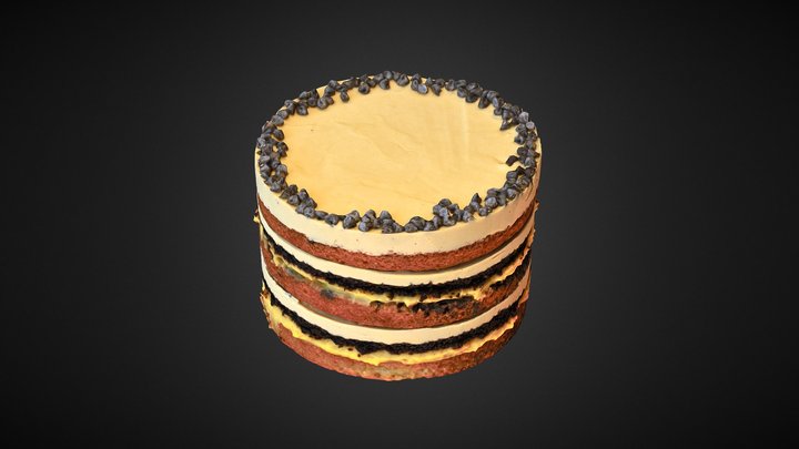 Cake Skanned 4 3D Model