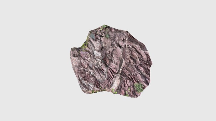 Schistosité de plan axial - pelites permiennes 3D Model