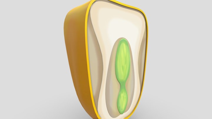 Jagung 3D Model
