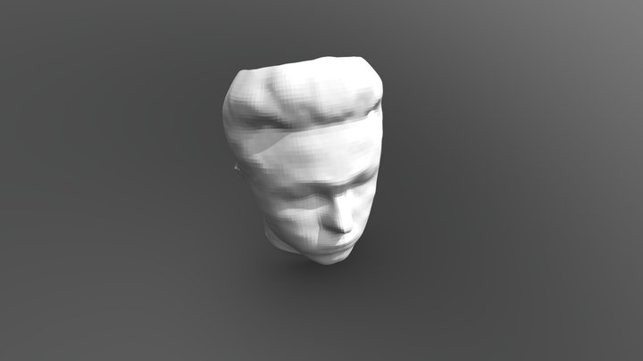 My Face Scanned 3D Model