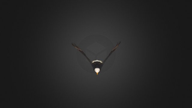 Eagle_action 3D Model